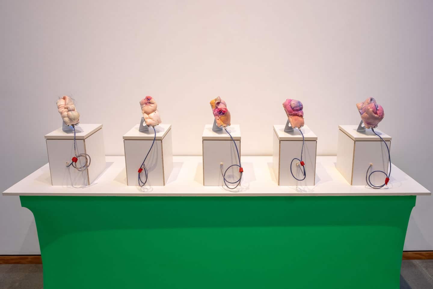 Mitchell F Chan at Angell Gallery